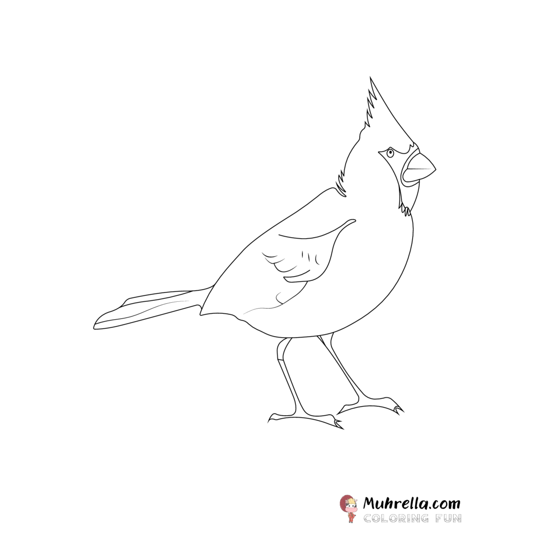 preview-cardinal-coloring-page-11-01.png coloring page
