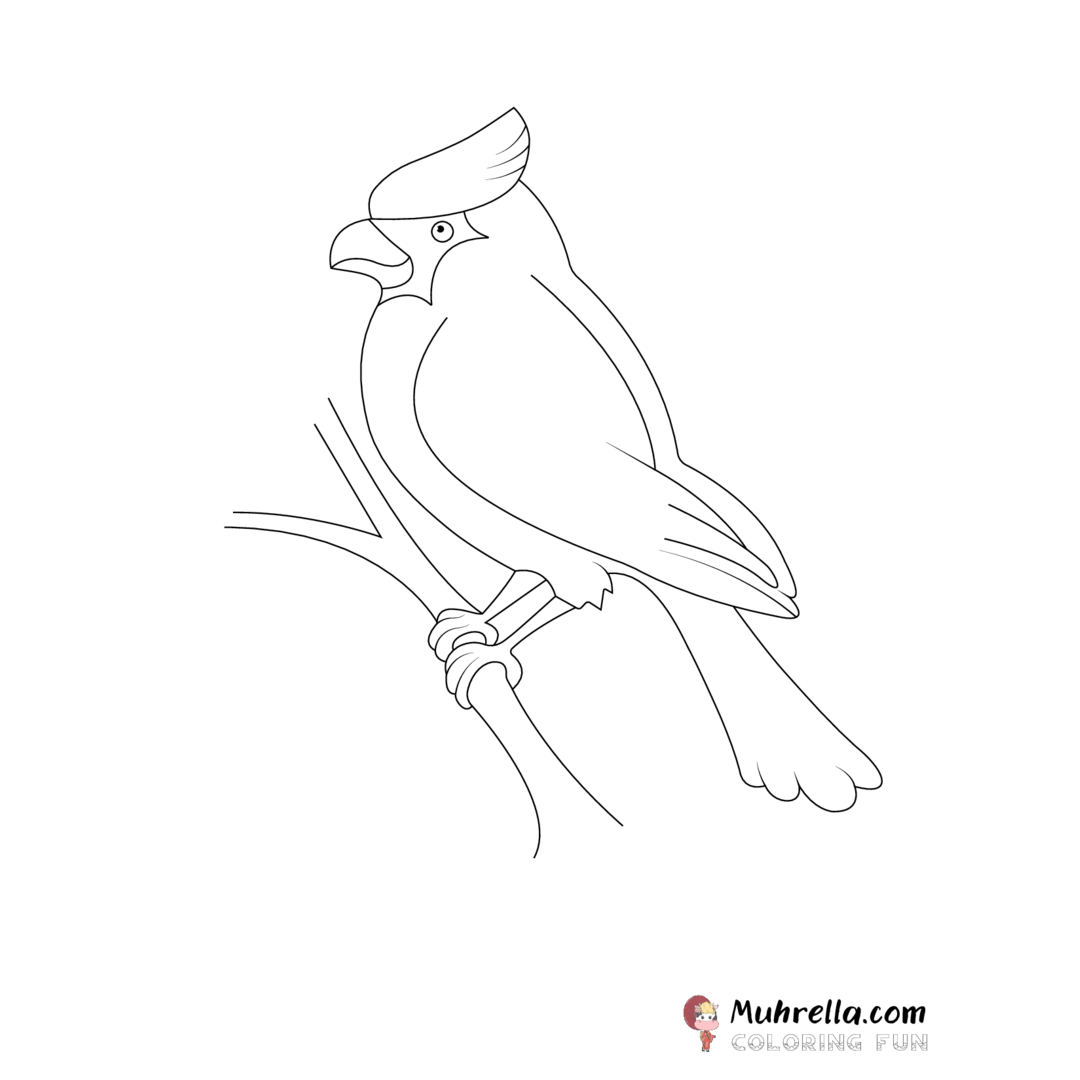 preview-cardinal-coloring-page-13-01.png coloring page