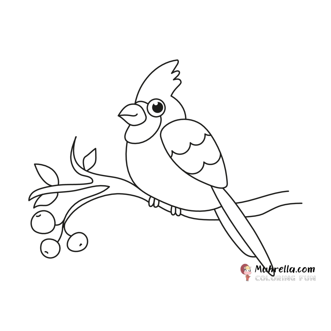 preview-cardinal-coloring-page-20_11-22-04.png coloring page