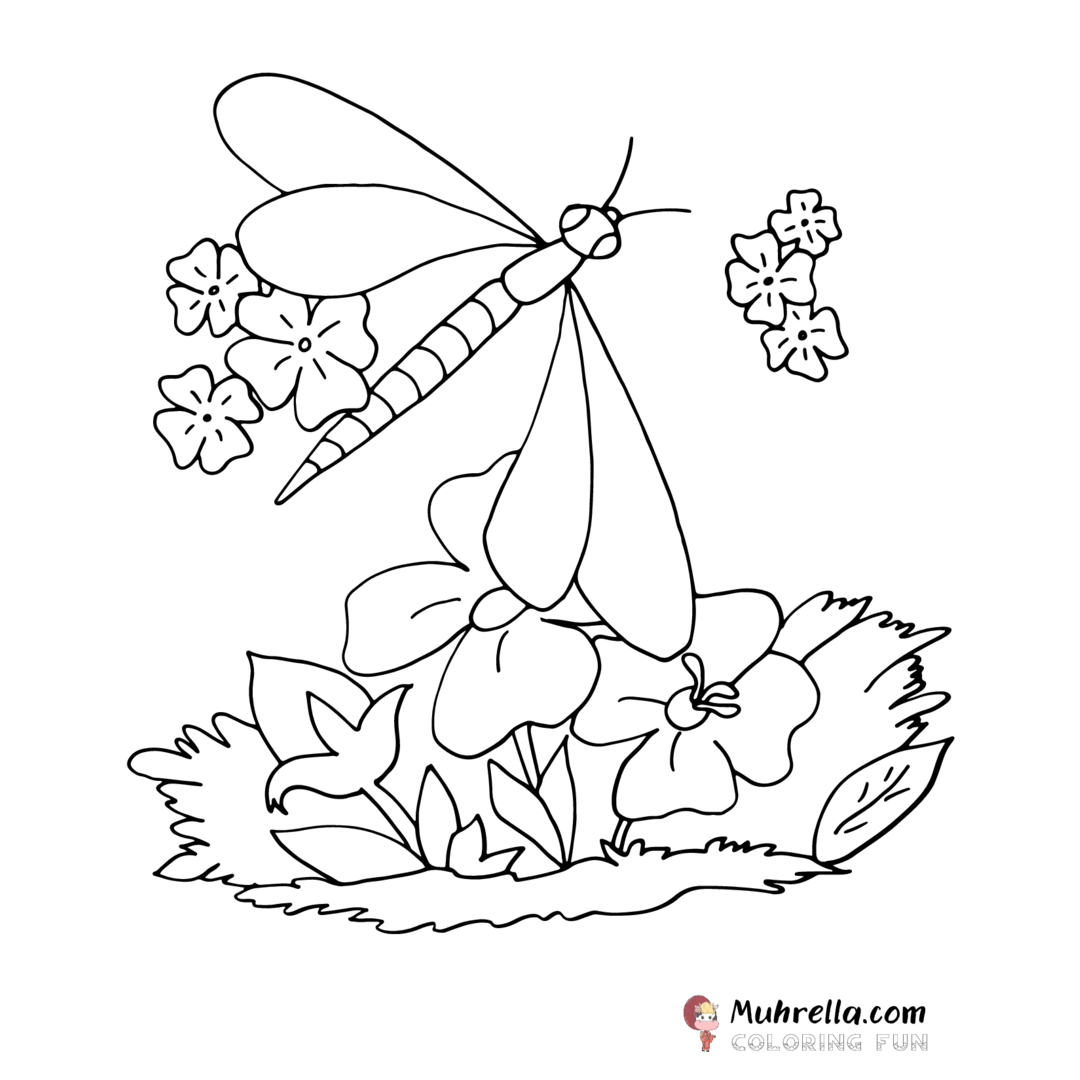 preview-dragonfly-coloring-page-2.png coloring page