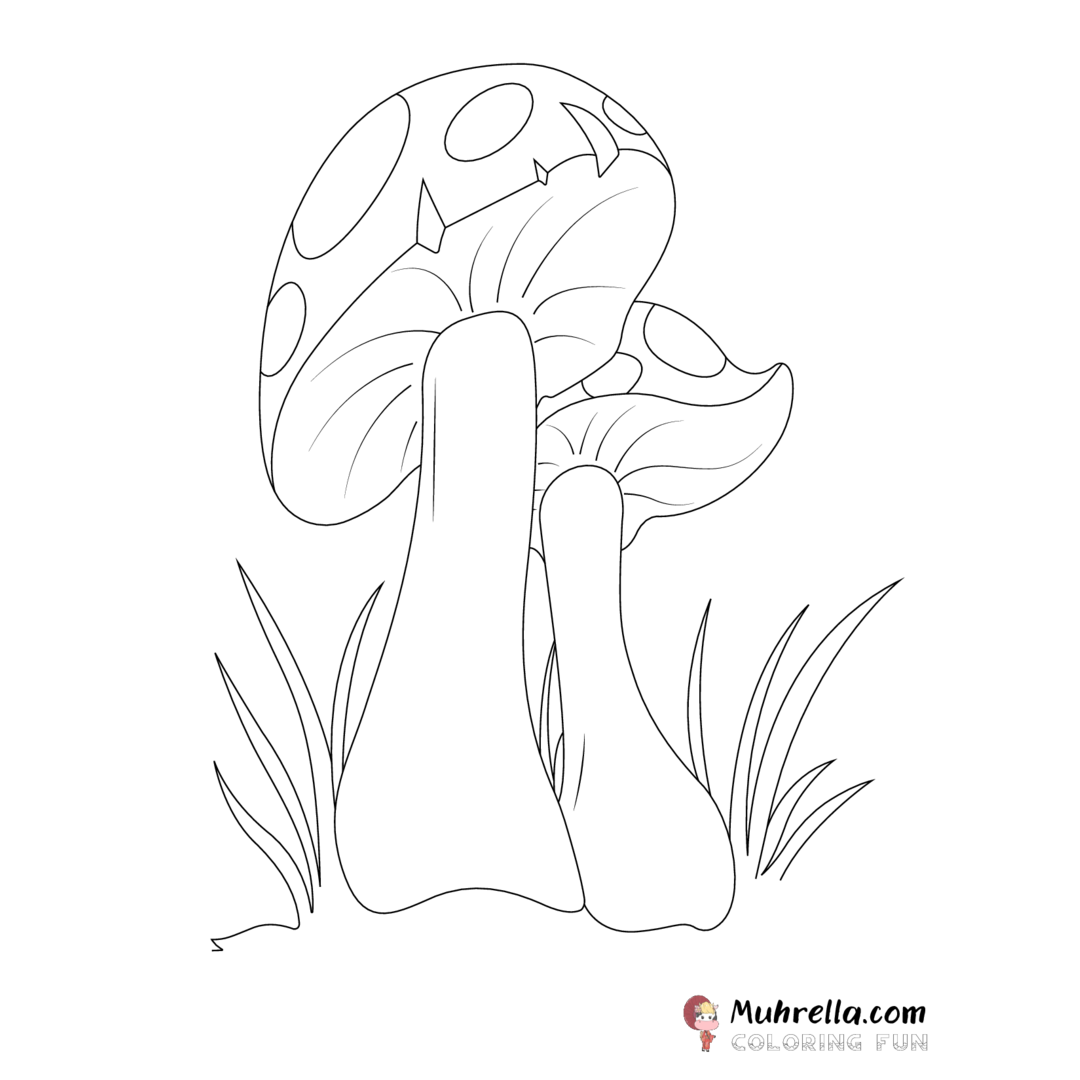 preview-mushroom-coloring-page-3-01.png coloring page