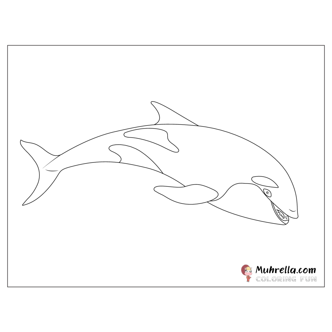 preview-orca-coloring-page-14-01.png coloring page