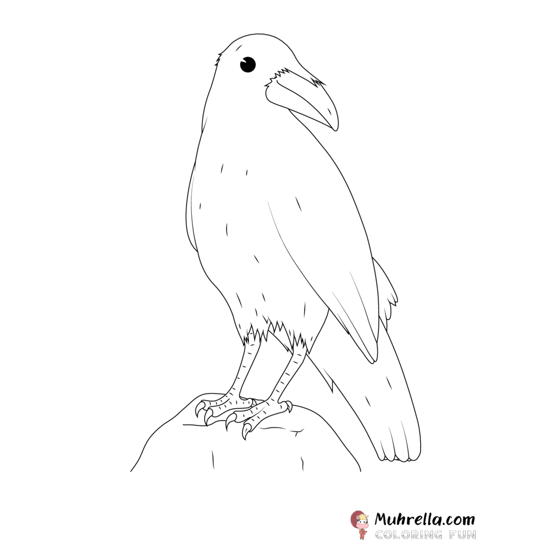 preview-raven-coloring-page-13-01.png coloring page