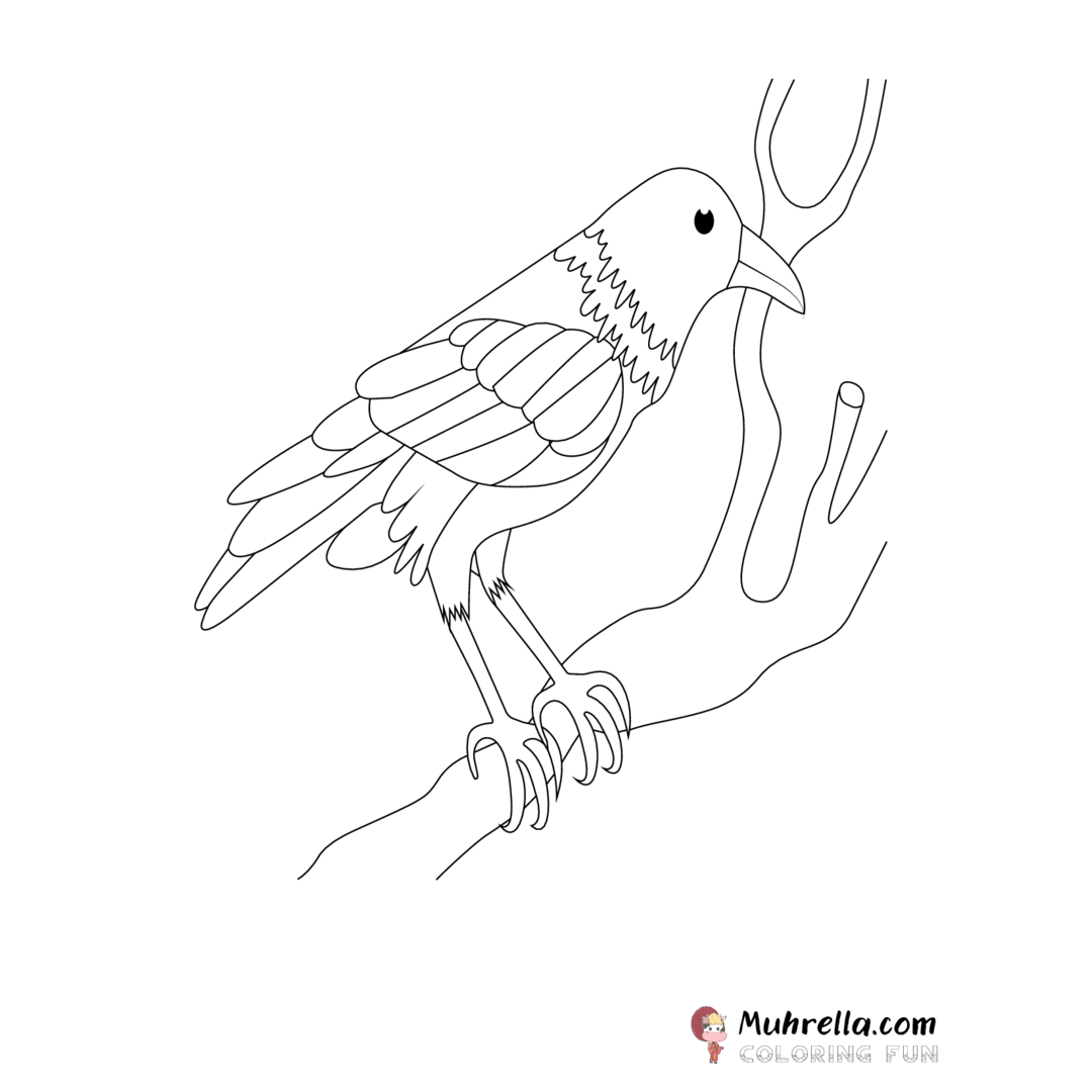 preview-raven-coloring-page-15-01.png coloring page