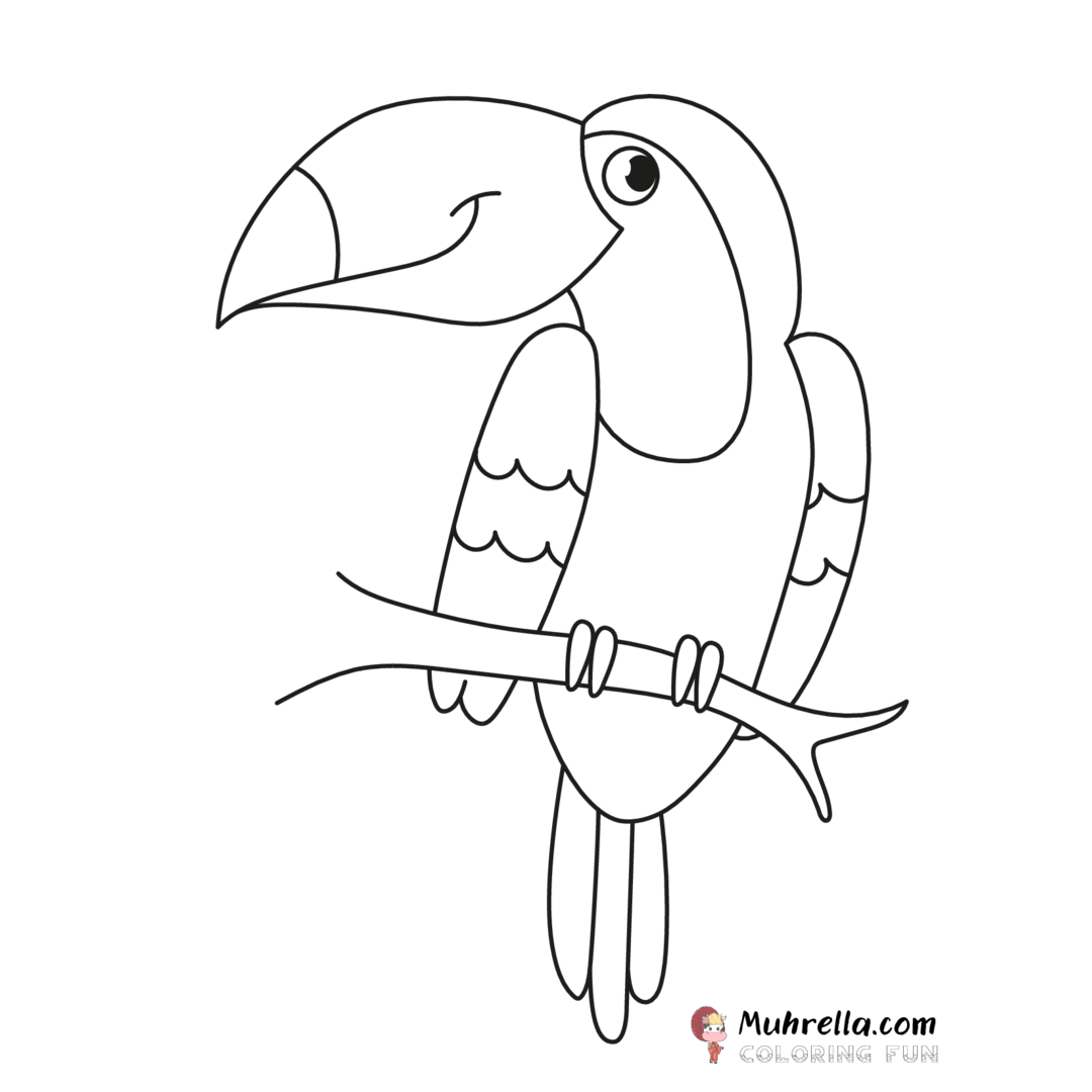 preview-toucan-coloring-page-12-22-2-13.png coloring page