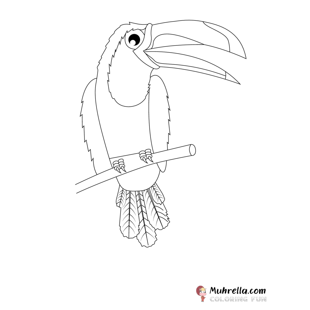preview-toucan-coloring-page-16-01.png coloring page