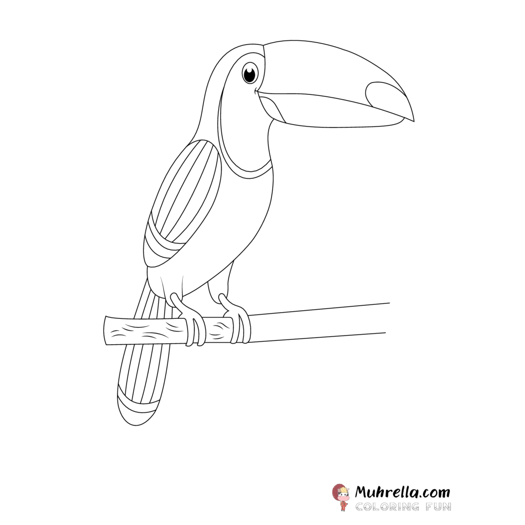 preview-toucan-coloring-page-18-01.png coloring page