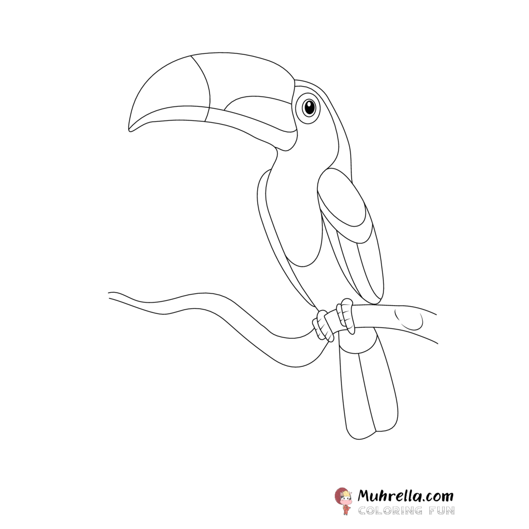 preview-toucan-coloring-page-20-01.png coloring page